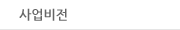 사업비전
